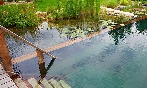 Источники воды для системы автополива
